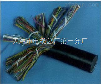 天津市電纜總廠第一分廠 專業(yè)打造礦用通信電纜，保障井下配線與用戶線路穩(wěn)定可靠